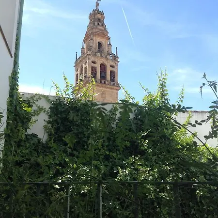 La Hoguera Córdova