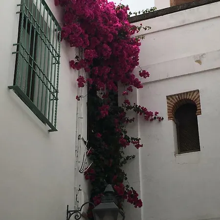 La Hoguera Córdova