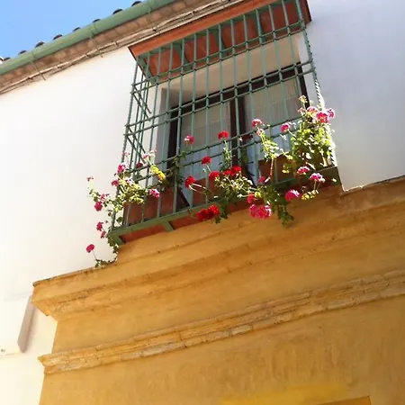 La Hoguera *