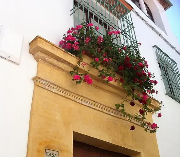 La Hoguera Διαμέρισμα