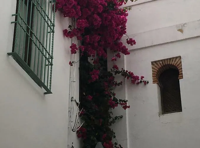 La Hoguera Κόρδοβα